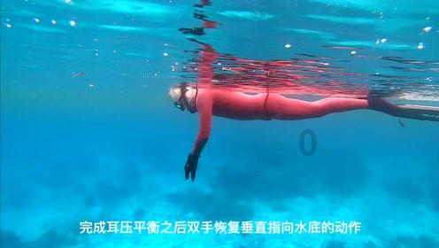 小猫钓鱼正版下载中文版